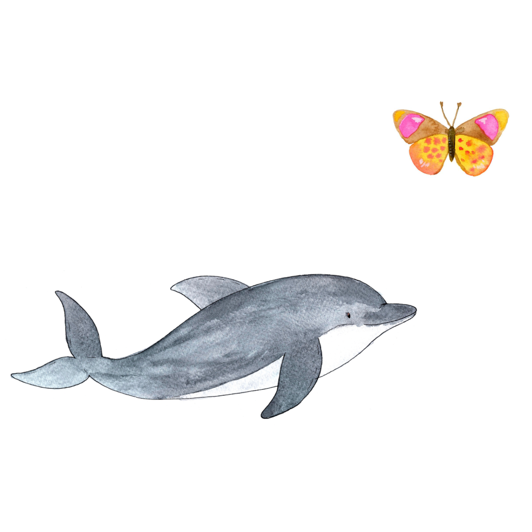 Dolfijn vlinder team